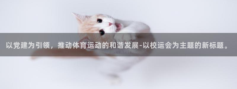 以党建为引领，推动体育运动的和谐发展-以校运会为主题的新标题。