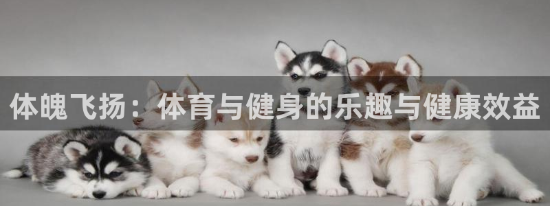 体魄飞扬：体育与健身的乐趣与健康效益