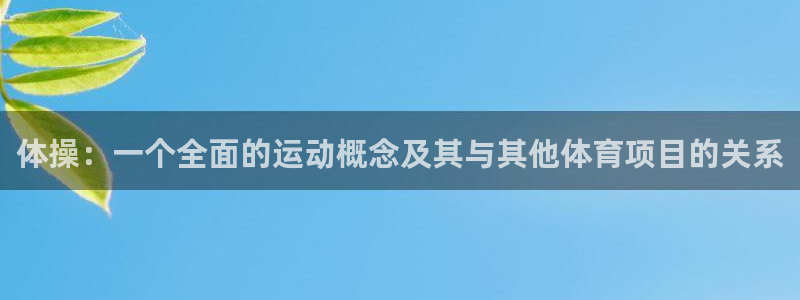 体操：一个全面的运动概念及其与其他体育项目的关系