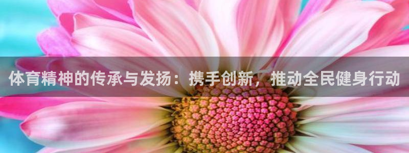 体育精神的传承与发扬：携手创新，推动全民健身行动